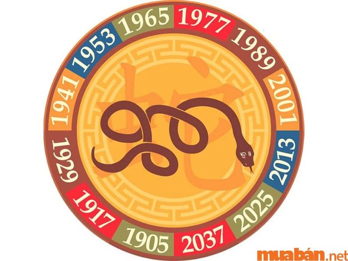 Nữ mệnh Kỷ Tỵ 1989 trong năm 2024 gặp sao Thủy Diệu, mang lại cơ hội tài chính và những niềm vui trong tình cảm. Tuy nhiên, cũng cần đề phòng những khó khăn và thị phi vào tháng 4 và tháng 8 âm lịch.