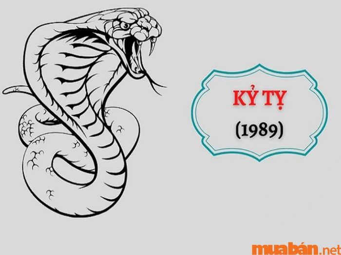 Xem vận niên của nữ tuổi Kỷ Tỵ 1989 trong năm 2024 cho thấy nhiều cơ hội thuận lợi, nhất là về công việc và tình duyên.