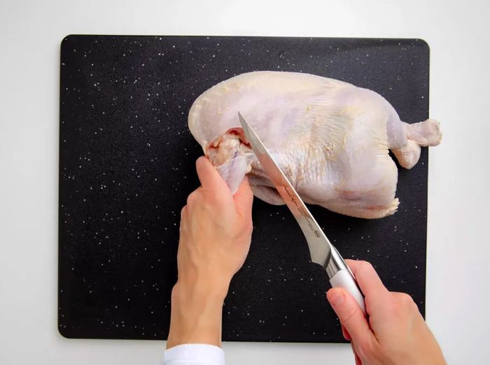 Dissecting a whole chicken