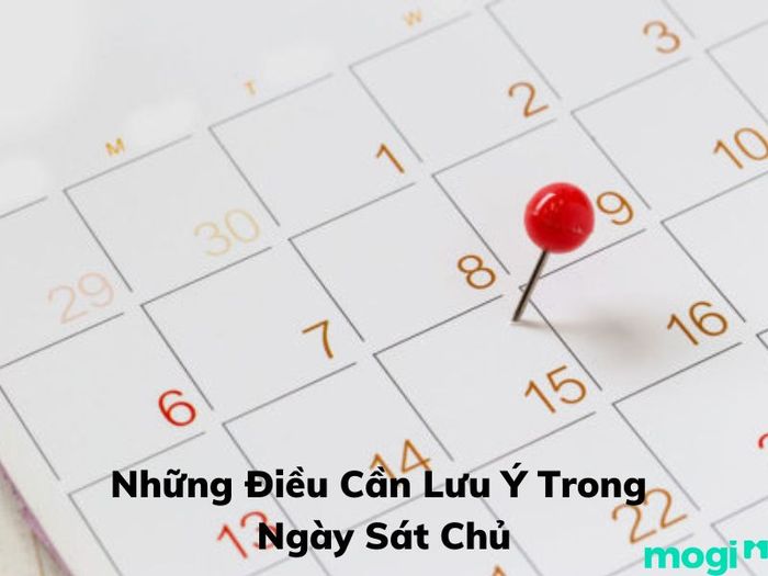 Ngày sát chủ
