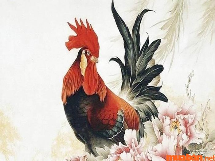 Phân tích chi tiết lá số tử vi Tân Dậu 1981 nữ mạng theo từng tháng trong năm