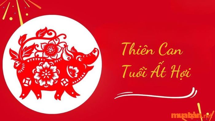 Nữ tuổi Hợi 1995 thuộc can Ất, hành Mộc, gặp năm Giáp, cũng thuộc hành Mộc