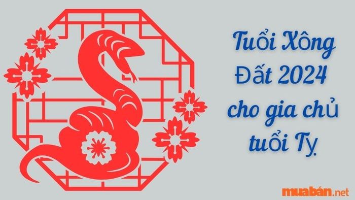 Tuổi xông đất cho gia chủ tuổi Tỵ năm 2024