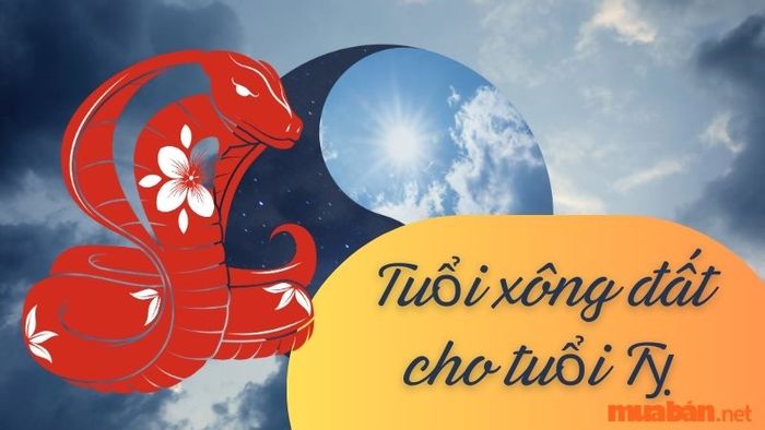Tuổi xông đất cho gia chủ tuổi Tỵ năm 2024 hợp mệnh, đem lại may mắn và tài lộc