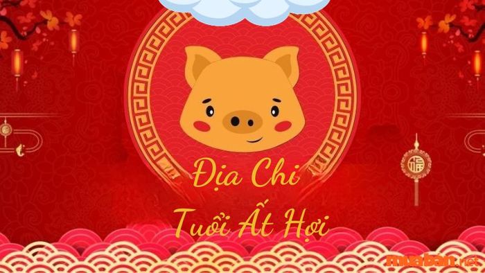 Địa chi – Nữ tuổi Hợi sinh năm 1995 trong năm Giáp Thìn 2024