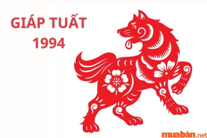 Diễn biến tử vi tuổi Tuất 1994 nam mạng qua các giai đoạn