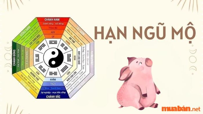 Năm nay, quý nữ Ất Hợi sẽ gặp phải hạn Ngũ Mộ, một tiểu hạn khó tránh với những khó khăn về tài chính và sức khỏe.