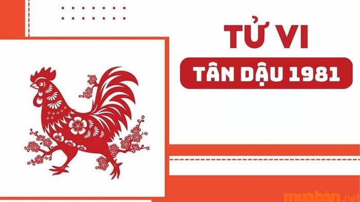 Tử vi năm 2024 của nữ mạng Tân Dậu 1981