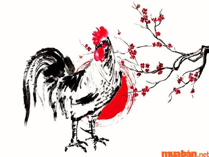 Liệu Tân Dậu 1981 có phạm Thái Tuế trong năm 2024 không?
