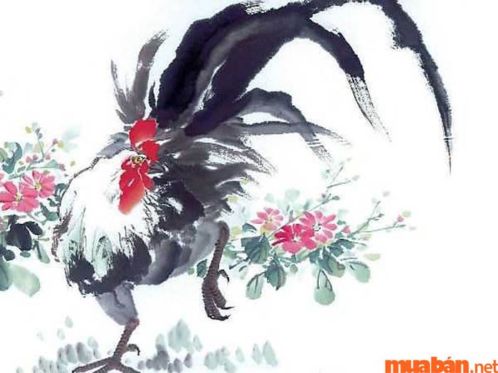 Lá số tử vi nữ mạng Tân Dậu 1981 qua từng tháng trong năm