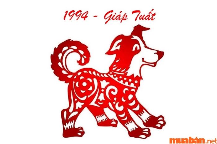 Diễn biến tử vi tuổi Tuất 1994 nữ mạng qua các giai đoạn