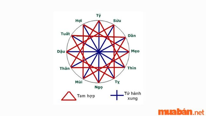 Giáp Tuất 1994 hợp tuổi nào?