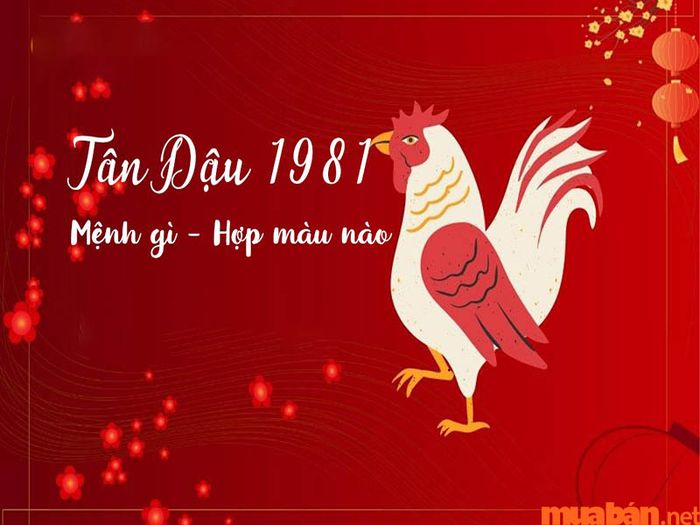 Màu sắc hợp với tuổi Tân Dậu 1981