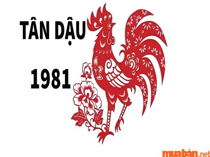 Công việc và sự nghiệp