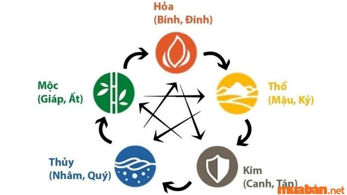 Tử vi nữ mạng Ất Tỵ 1965 năm 2024: Luận theo thiên can