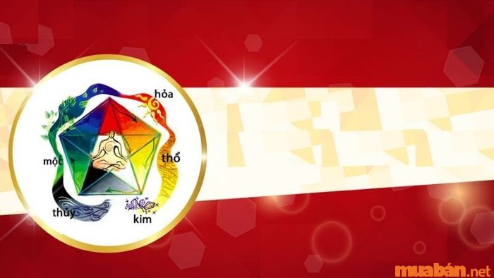 Tử vi Ất Tỵ 1965 nữ mạng năm 2024 xét theo tứ trụ