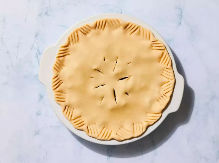 A meat pie in a pie plate, topped with a crimped and vented pie crust.