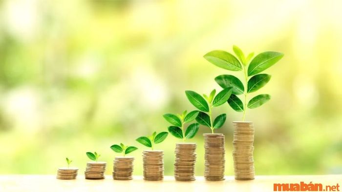 Phân tích tử vi Ất Tỵ 1965 nữ mạng năm 2024: Vận trình tài chính