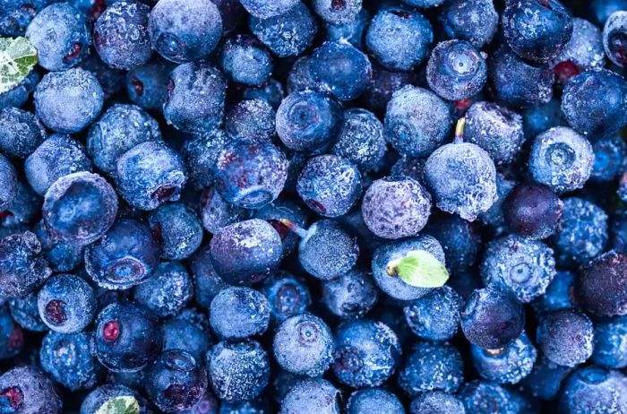 Close-up of frozen wild blueberries