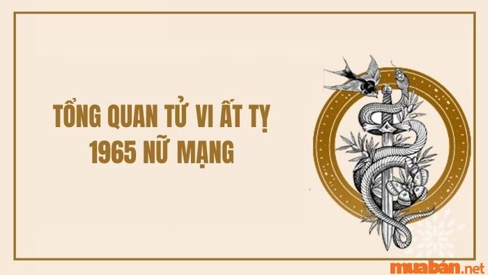 Khái quát tử vi nữ mạng tuổi Ất Tỵ 1965 năm 2024