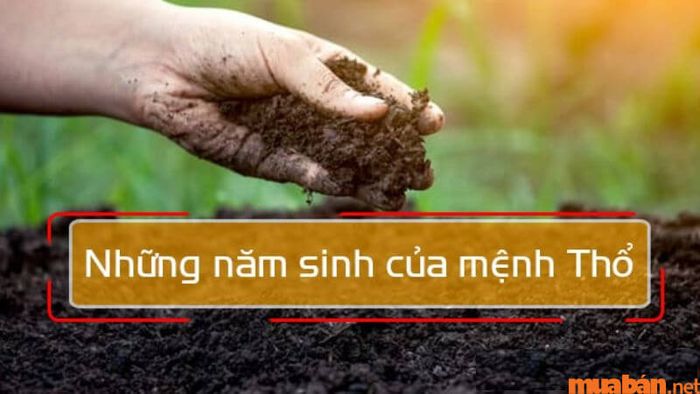 vật phẩm may mắn cho người mệnh Thổ