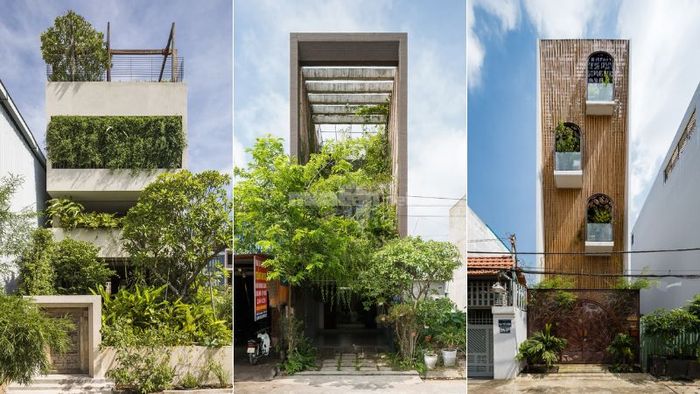 Mặt tiền nhà ống 4m theo phong cách Tropical với sự xuất hiện của nhiều cây xanh tươi mát