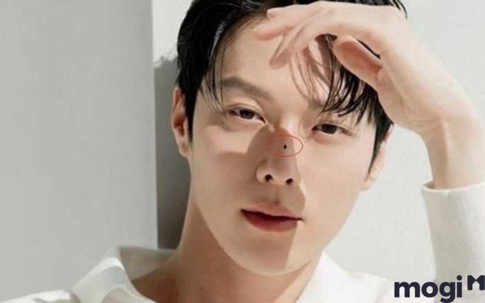 Nốt ruồi nằm ngay giữa sống mũi của đàn ông là biểu hiện của người có tính cách mạnh mẽ, kiên quyết, nhưng cũng phải đối mặt với không ít thử thách trong cuộc sống.