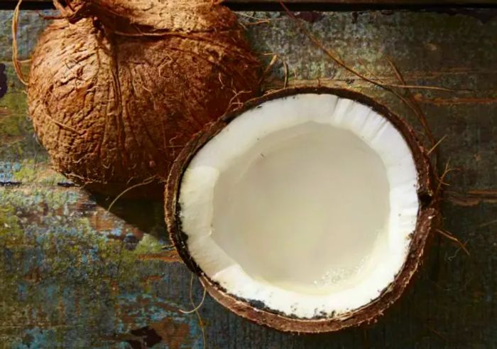 Coconut