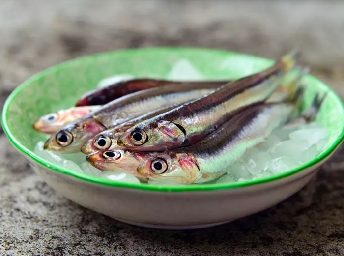 Fresh raw European anchovies on ice