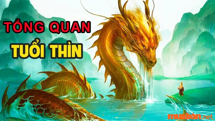 Ngày nào là ngày tốt nhất để người tuổi Thìn khai trương?