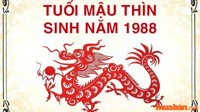 Khai trương ngày nào sẽ mang lại may mắn cho người tuổi Thìn?