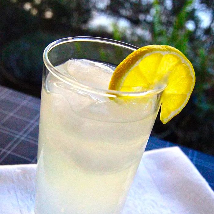 Close-up shot of a Tom Collins cocktail, elegantly garnished with a slice of lemon.