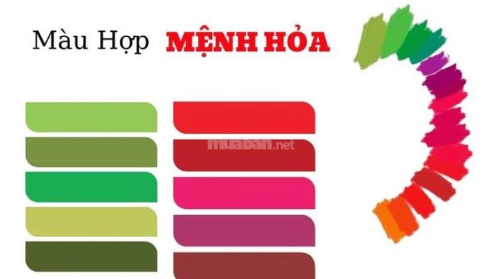 Luận giải lá số tử vi Kỷ Mùi 1979 nam mạng năm 2024 - Màu sắc hợp tuổi