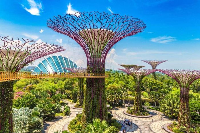 Gardens By The Bay - Khu vườn nổi tiếng của Singapore