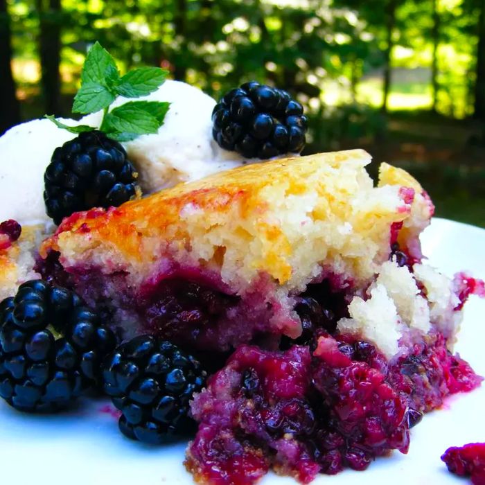 A serving of blackberry cobbler topped with fresh blackberries, a sprig of mint, and a scoop of vanilla ice cream