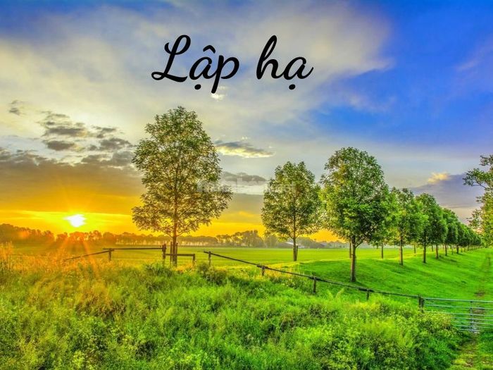 Lập hạ năm 2024 sẽ diễn ra vào ngày nào?