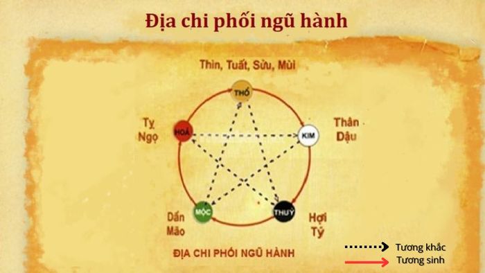 Tử vi Kỷ Mùi 1979 nam mạng năm 2024: Phân tích theo địa chi