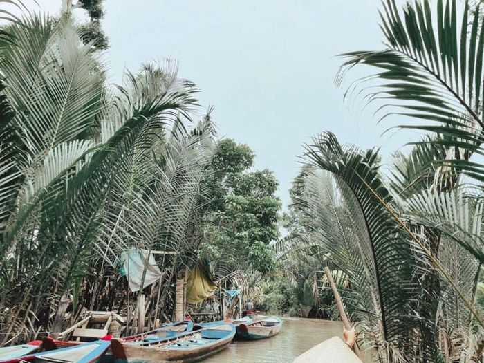 Cồn Thới Sơn