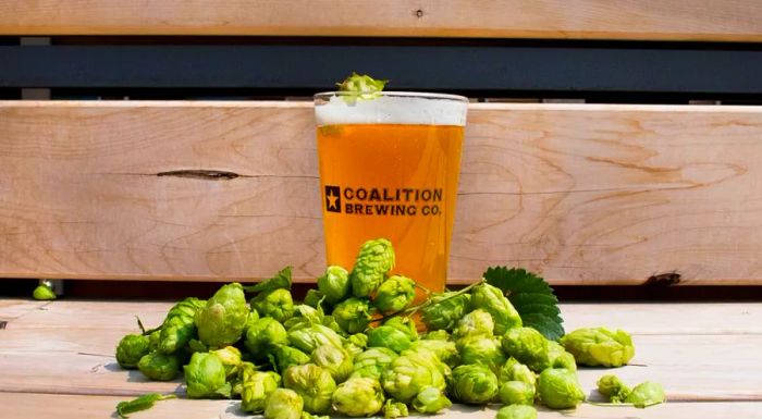 IPA meets CBD in Coalition Brewing's Two Flowers IPA, a brew that brings together the best of hops and cannabis.