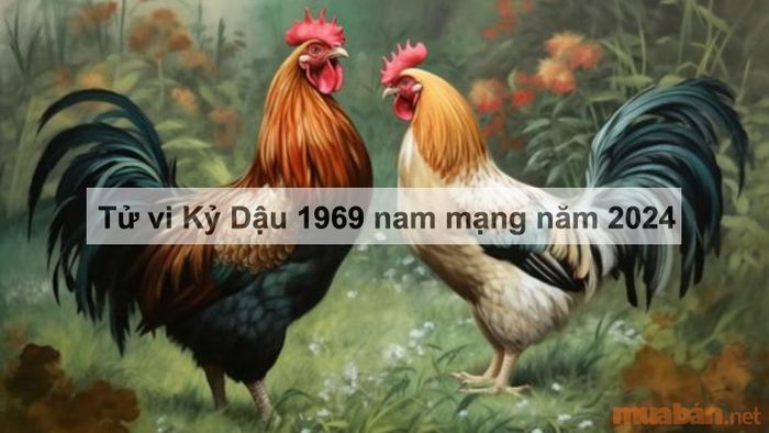 Tử vi năm 2024 của nam mạng Kỷ Dậu 1969