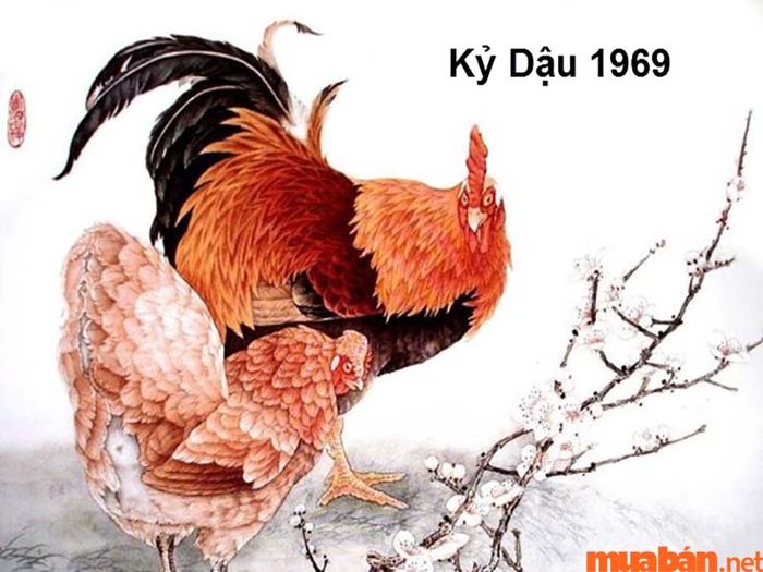 Sức khỏe của Kỷ Dậu 1969 nam mạng năm 2024
