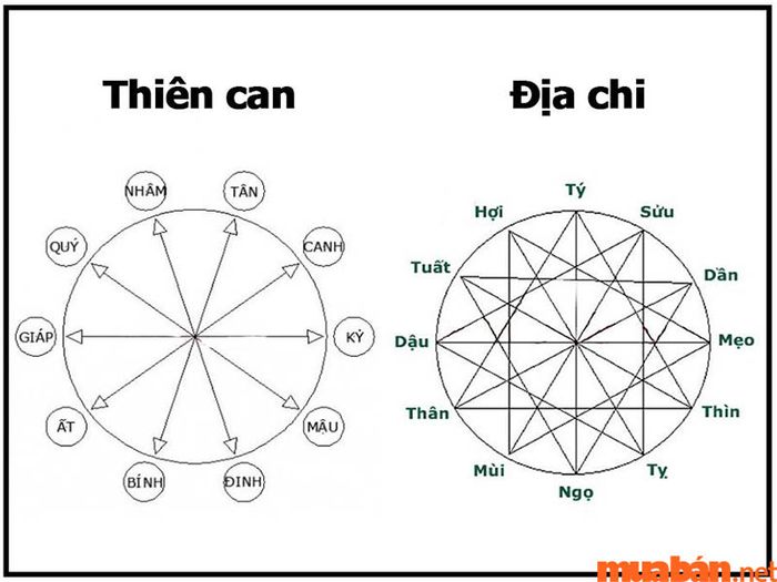 Thiên can trong tử vi Kỷ Dậu 1969