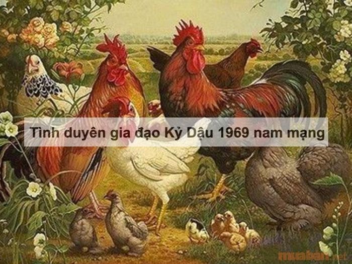 Tình duyên và gia đạo của nam mạng Kỷ Dậu 1969
