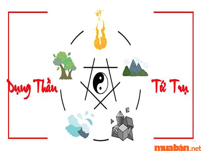 Tứ trụ trong tử vi của Kỷ Dậu 1969