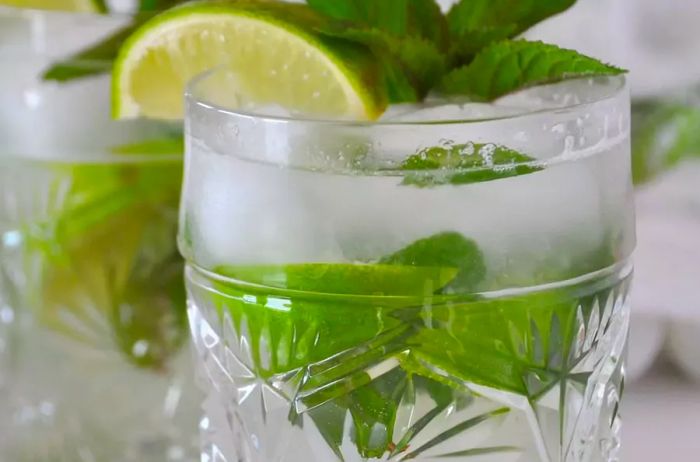 The Classic Mojito