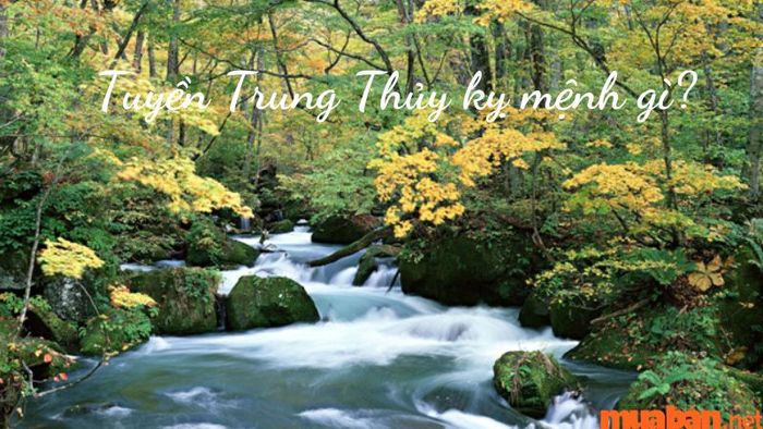 Mệnh kỵ Tuyền Trung Thủy