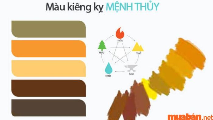 Các màu kỵ mệnh Tuyền Trung Thủy