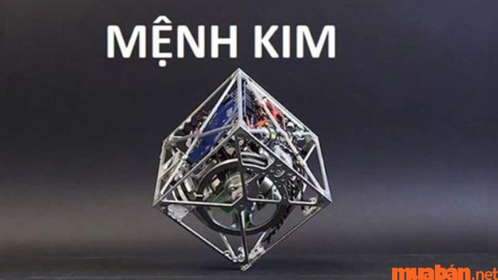 Tuyền Trung Thủy hợp mệnh Kim