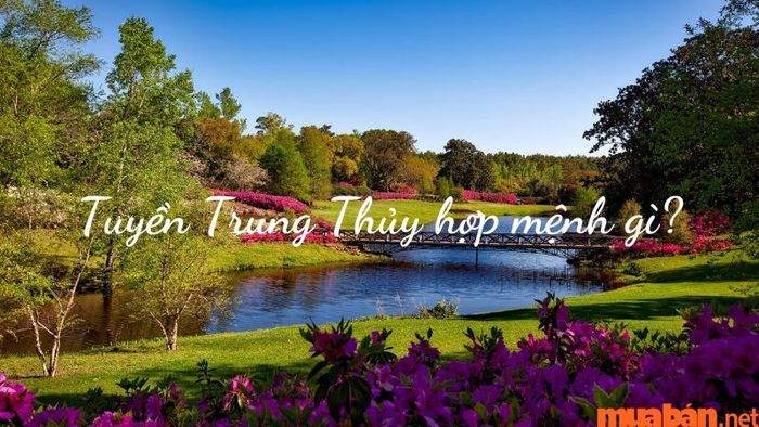 Mệnh hợp với Tuyền Trung Thủy