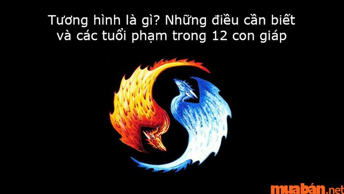Tương hình là gì?